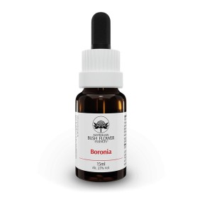 Essenza Singola Boronia 15 ml - Australian Bush