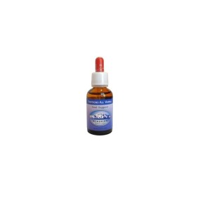 Essenze dell'Alaska - Soul Support 30 ml