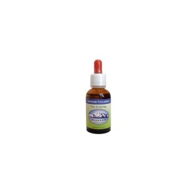 Formula Composta Essenze dell'Alaska - Easy Learning 30 ml Dosaggio