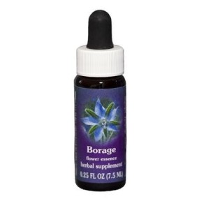 Essenza Singola Californiana Borage (Borago Officinalis) 7,4ml Fes